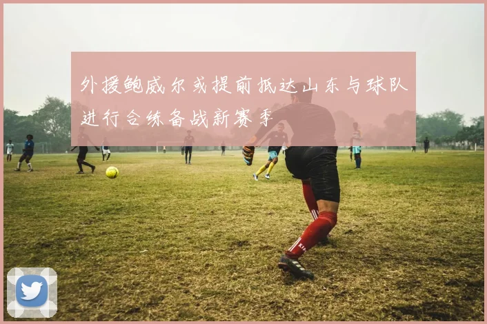 外援鲍威尔或提前抵达山东与球队进行合练备战新赛季